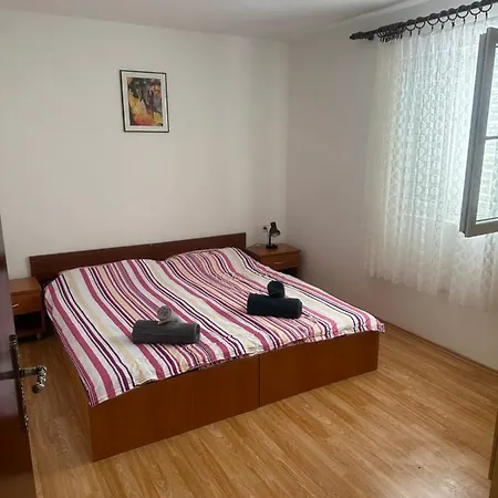 Apartmani Marko Novalja Exterior photo